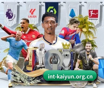 开云 APP - kaiyun.com